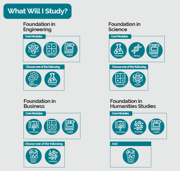 What will i study